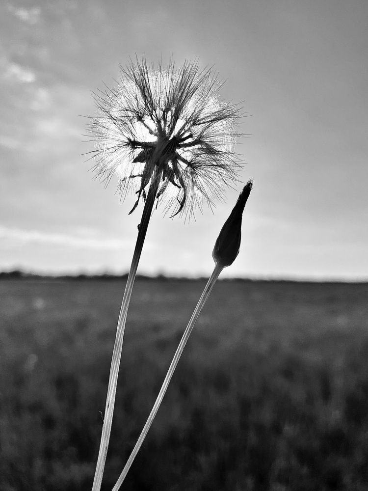 Photograph by Ольга Белоусова