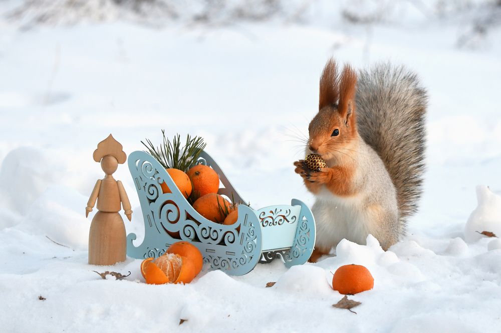 Photograph by Елена Гасенко