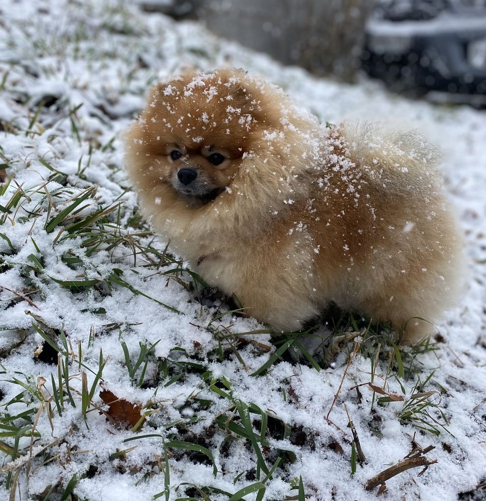 Фотография автора Татьяна Ахрахадзе