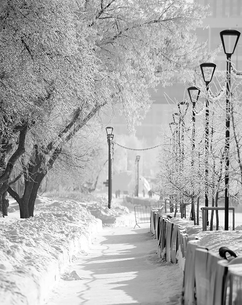 Photograph by Алексей Родак