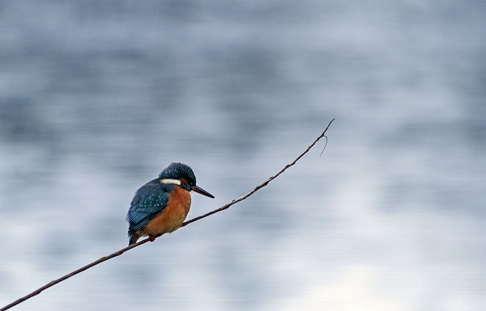 Фотография автора Александр
