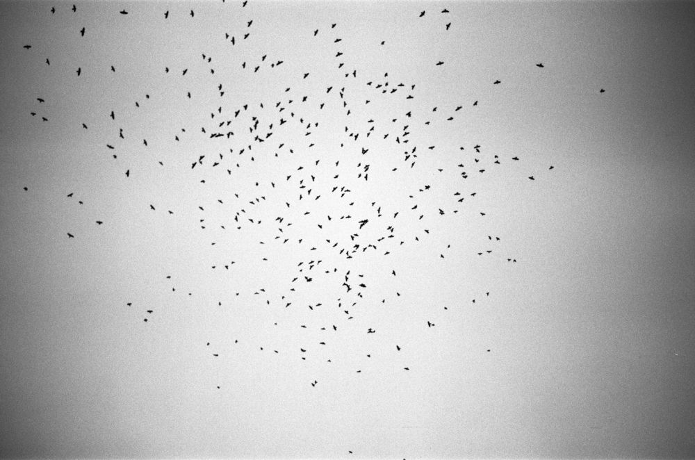 Photograph by Nadincca