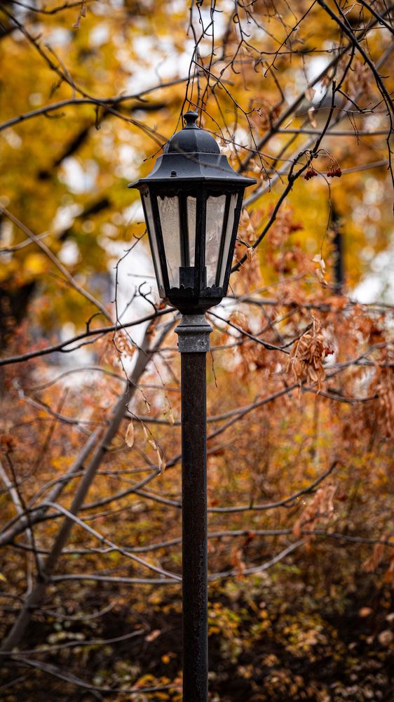 Photograph by Дмитрий Гусаков