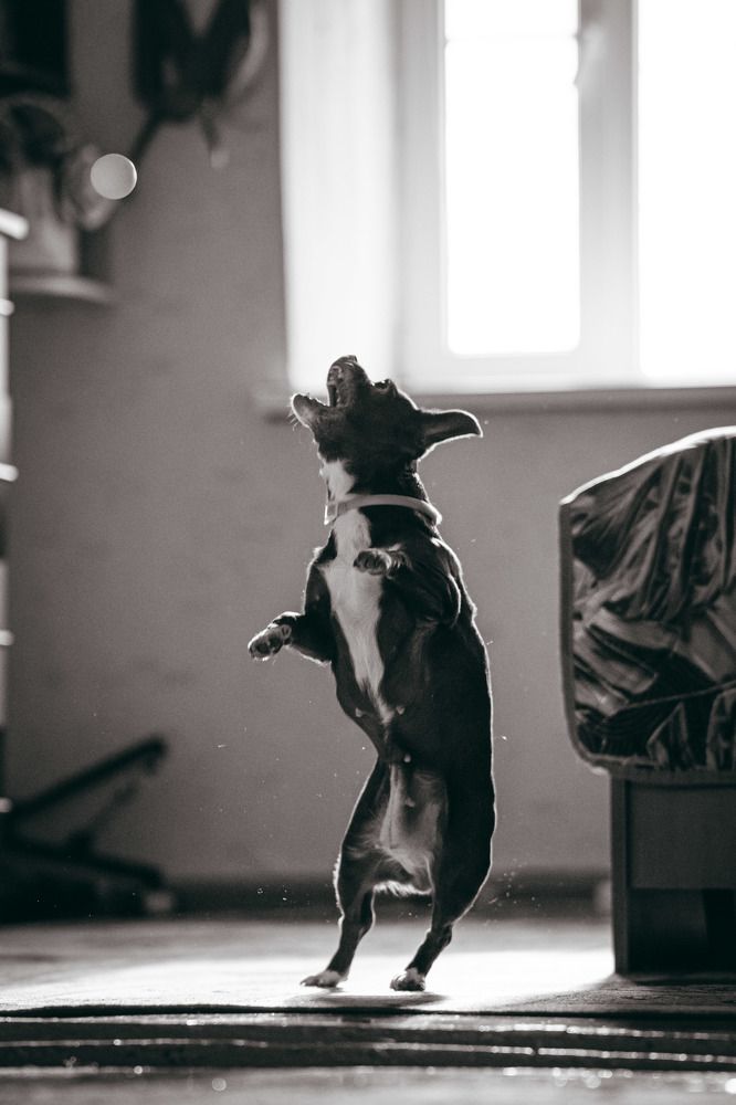 Photograph by Дмитрий Бутенко