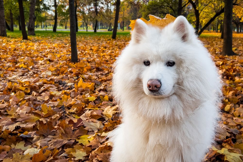 Photograph by Никита Борзов