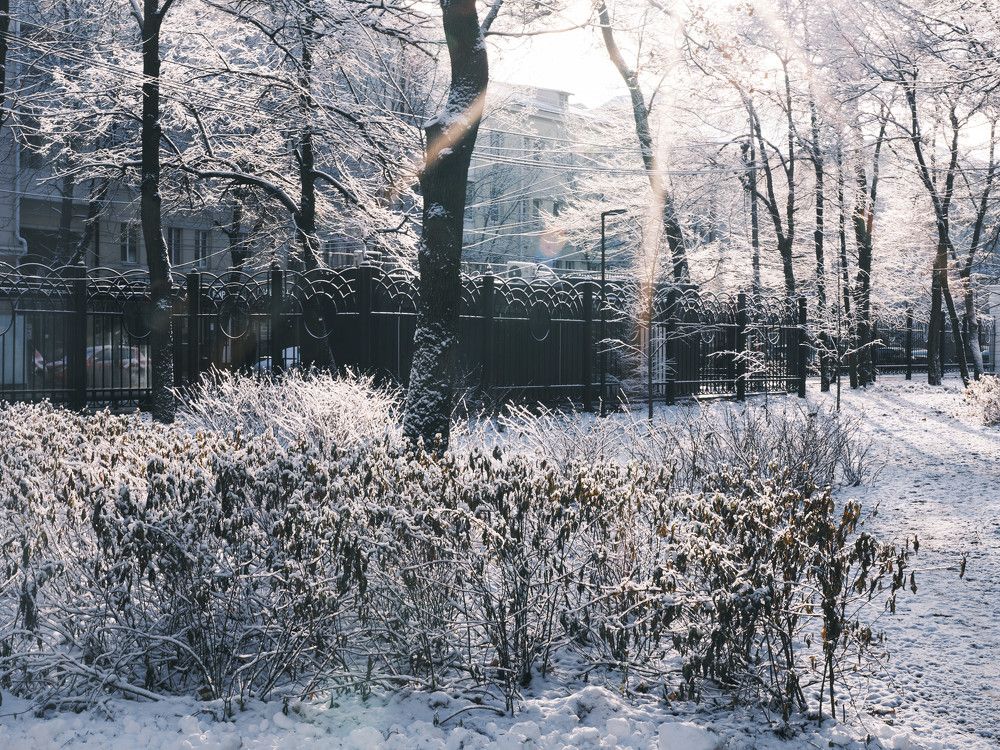 Photograph by Сячин Саша