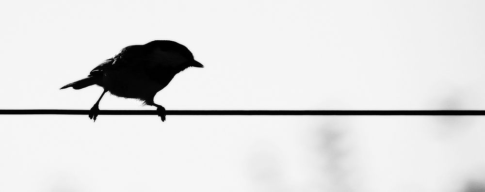 Фотография автора Сергей Гречихин