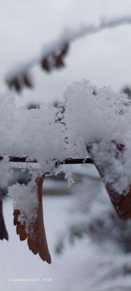 Фотография автора Ольга