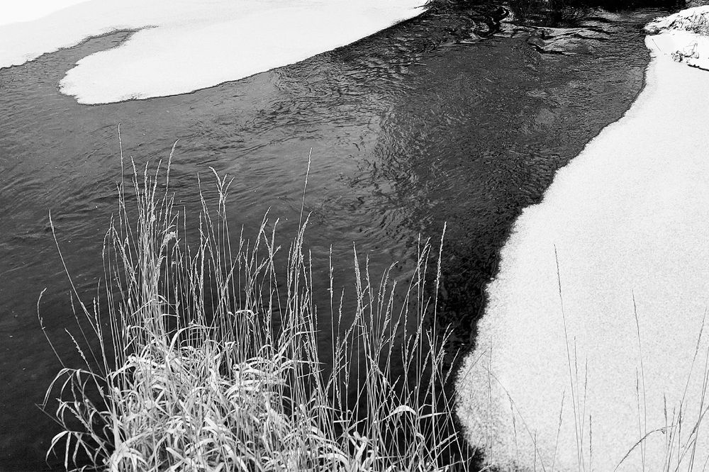 Photograph by Надежда