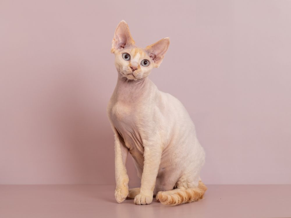 Photograph by Diana Karp