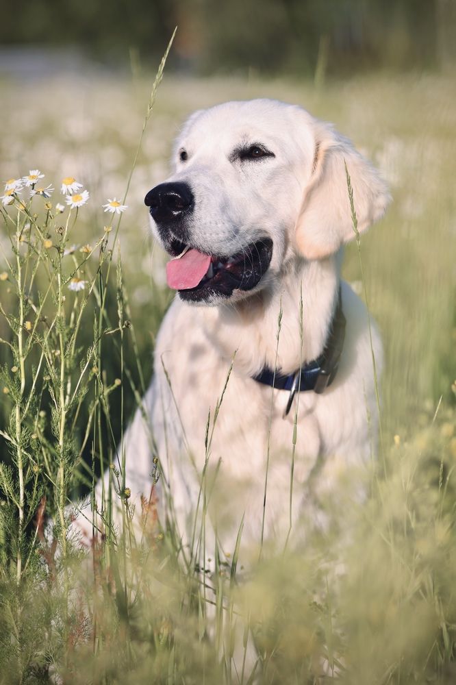 Photograph by Diana Karp