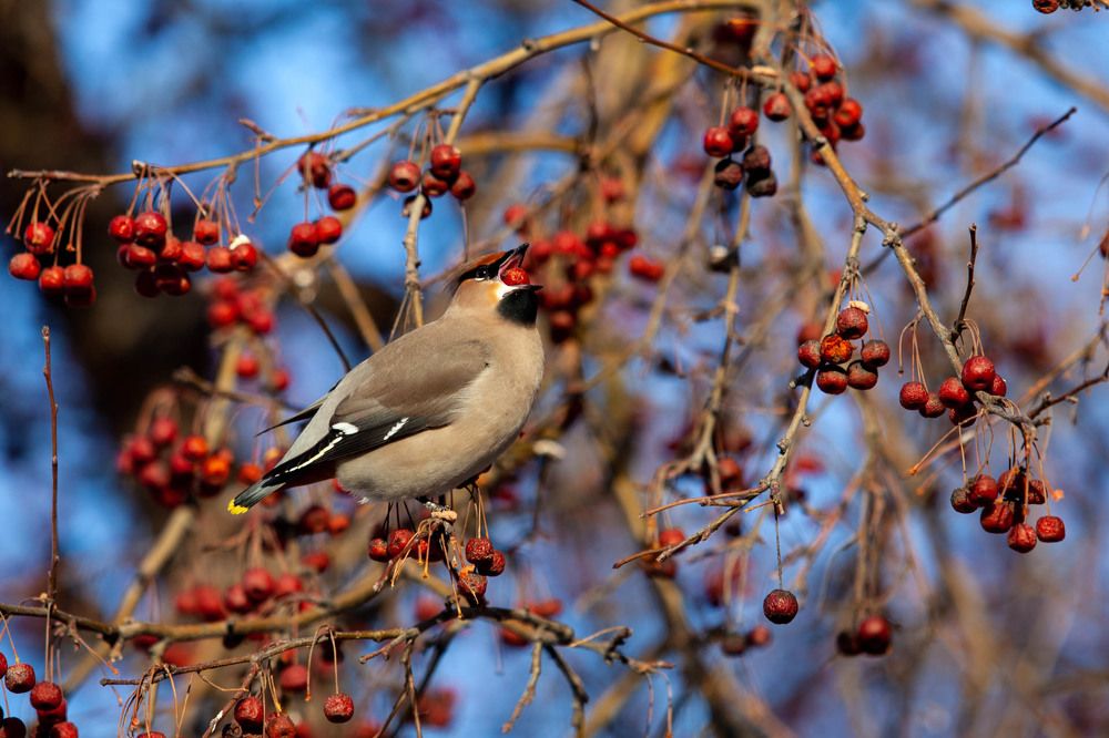 Photograph by Ирина Шарова