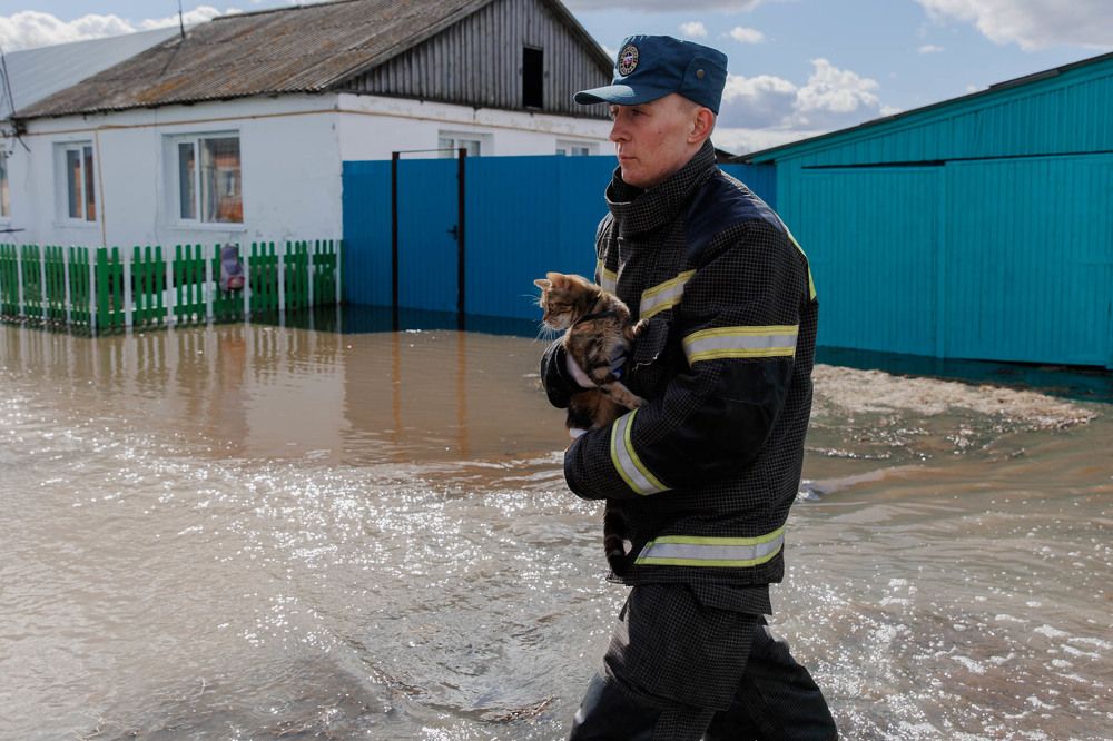 Photograph by Ирина Шарова