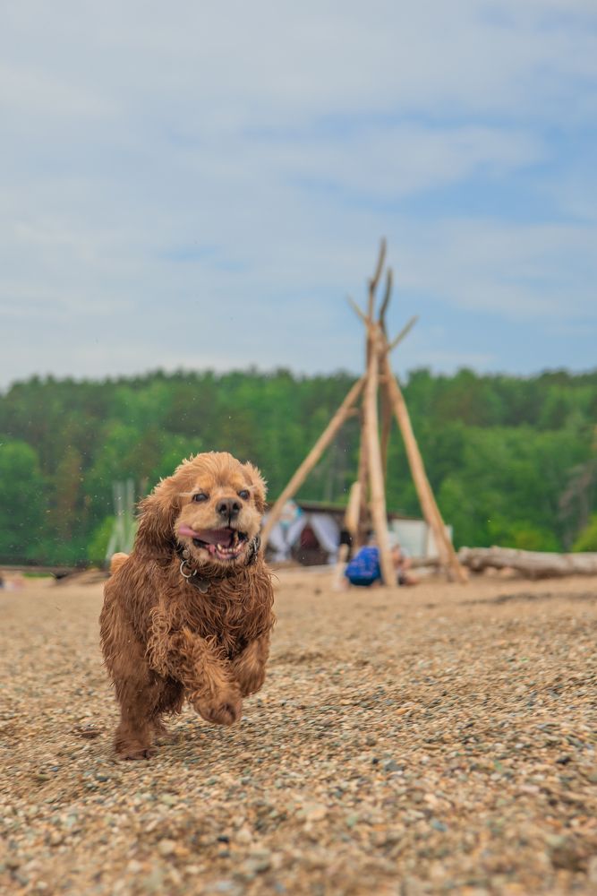 Photograph by Дмитрий Матвеев