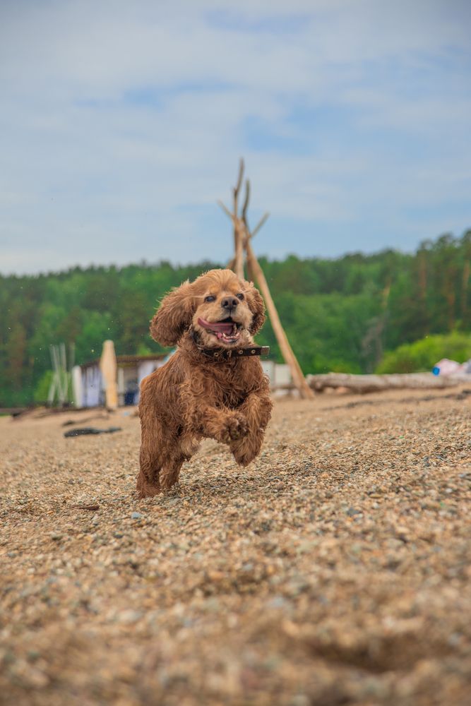 Photograph by Дмитрий Матвеев