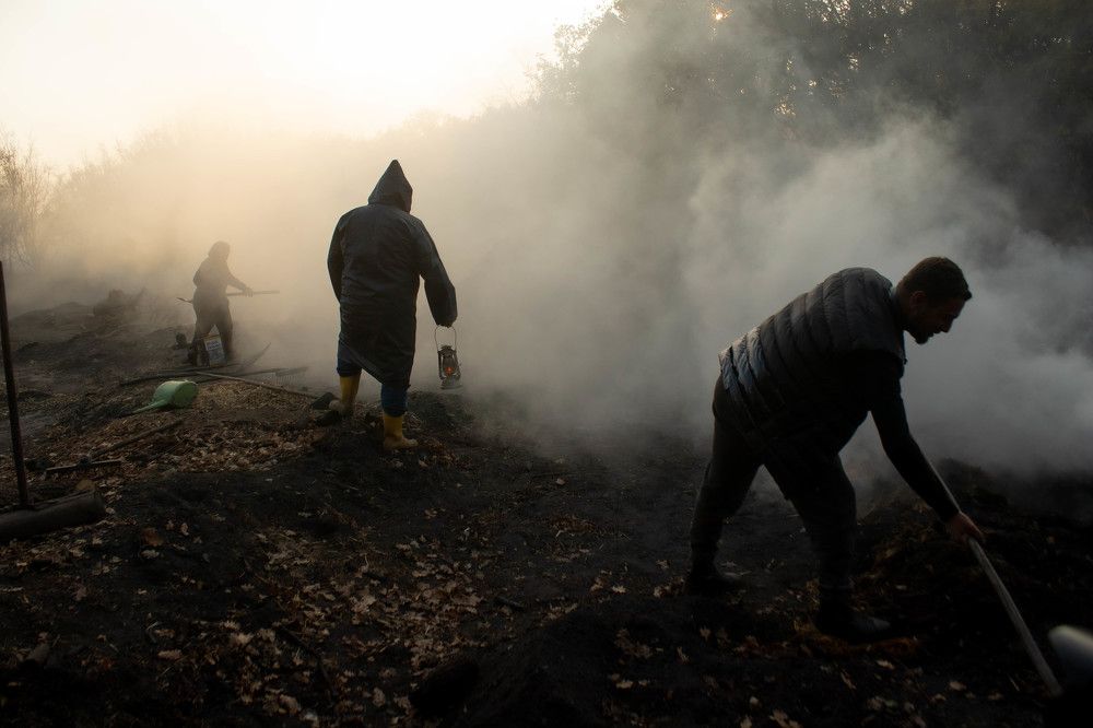 Фотография автора necdet polat
