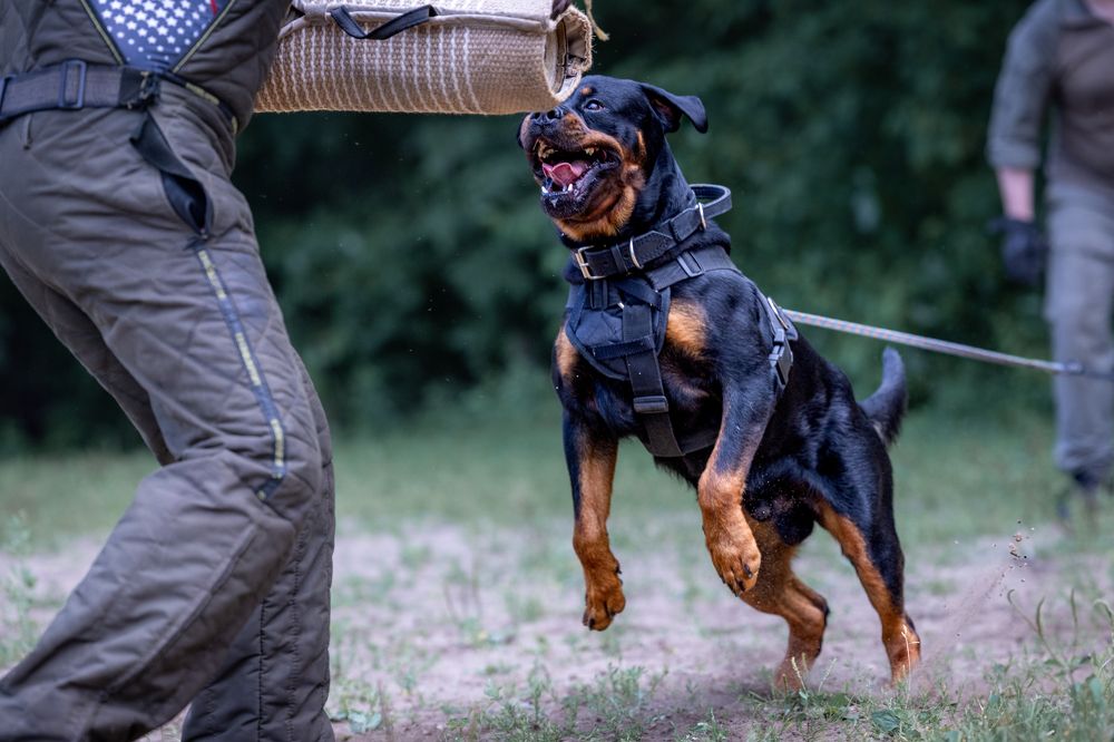 Photograph by Diana Karp