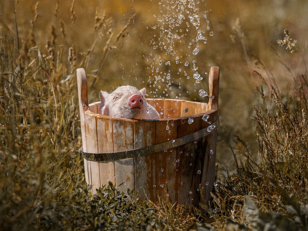 Photograph by Татьяна Тихомирова