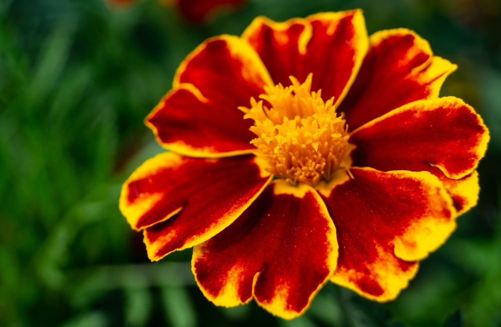 Photograph by Бабицын Алексей