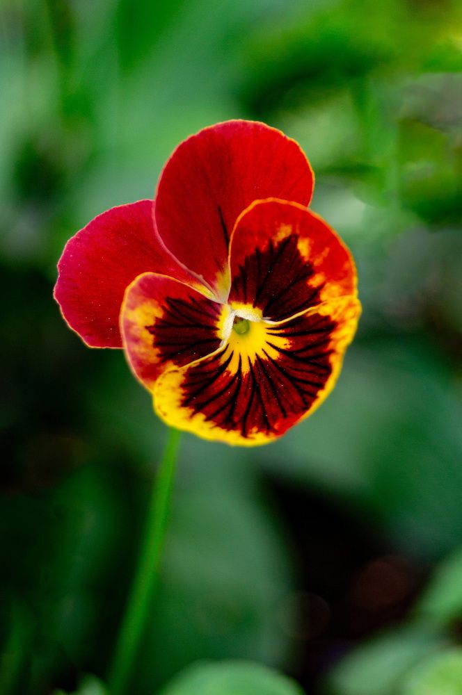 Photograph by Бабицын Алексей