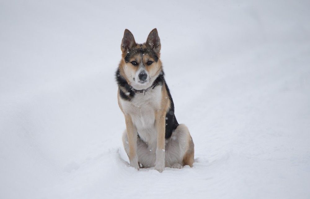 Photograph by Наталья Сорокина