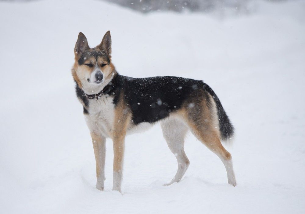Photograph by Наталья Сорокина