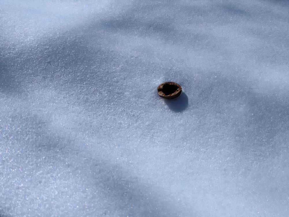 Photograph by Ирина Шибитова