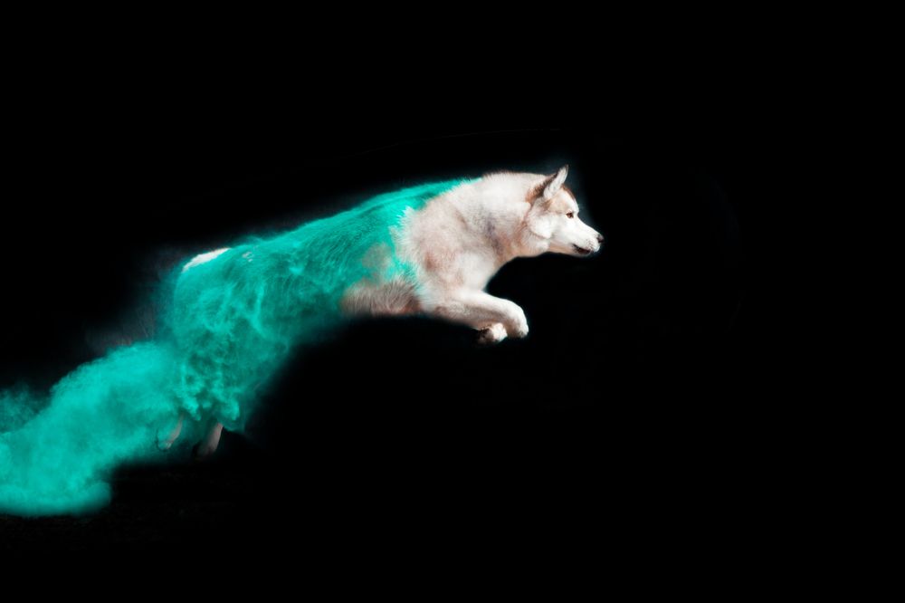 Photograph by Алина Перескокова