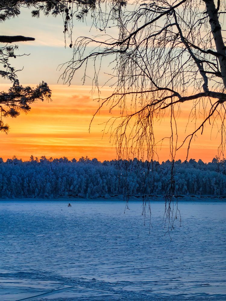 Photograph by Ellina Ksendzyuk