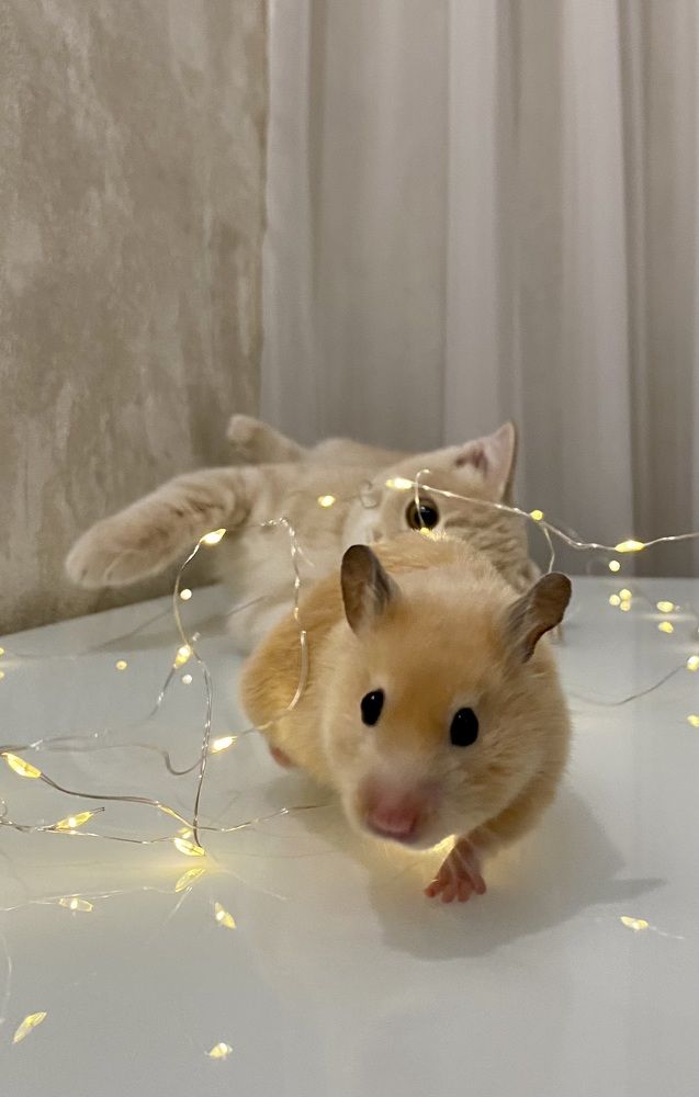 Photograph by Светлана Фесенко