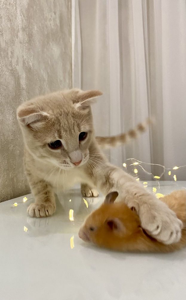 Photograph by Светлана Фесенко