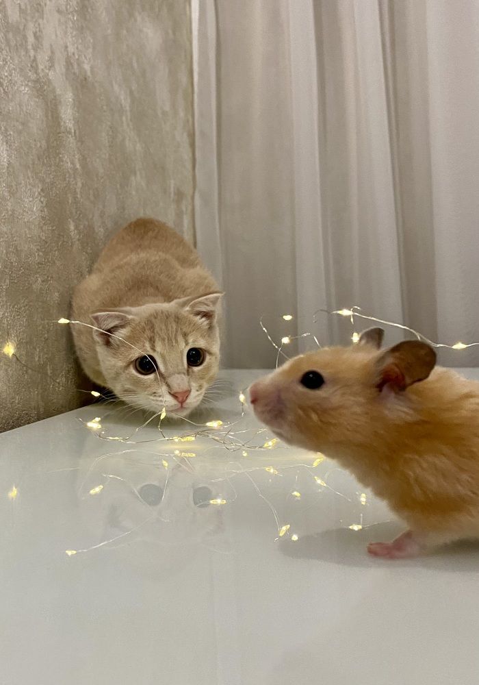 Photograph by Светлана Фесенко