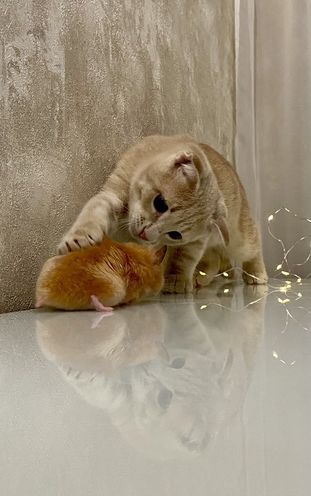 Photograph by Светлана Фесенко