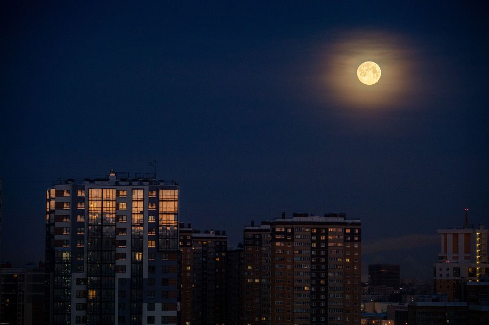 Photograph by Елена Аверина