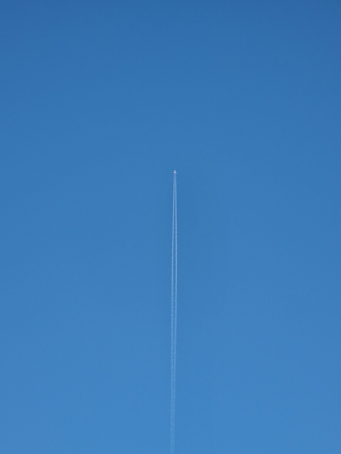 Photo #11645476