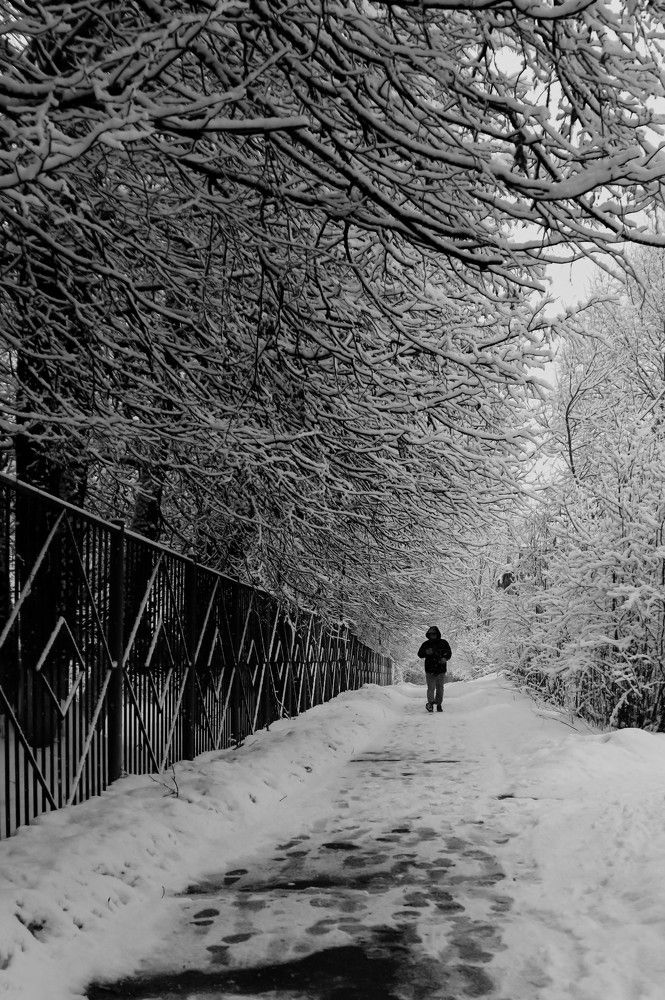 Фотография автора Виталий Дузь