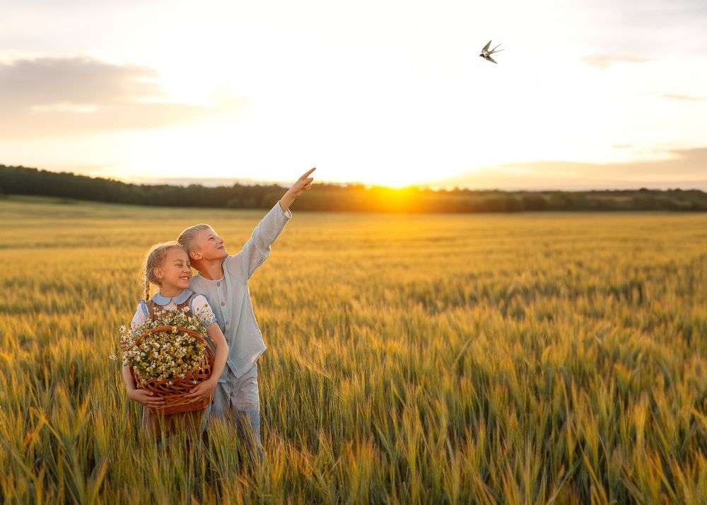 навстречу солнцу