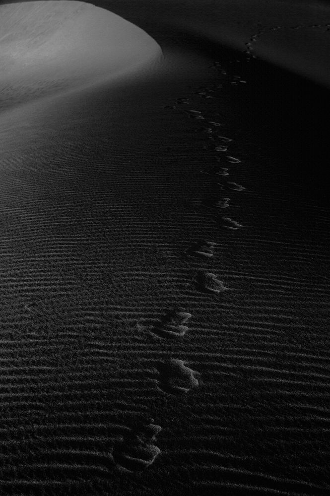 Фотография автора Dinh lh