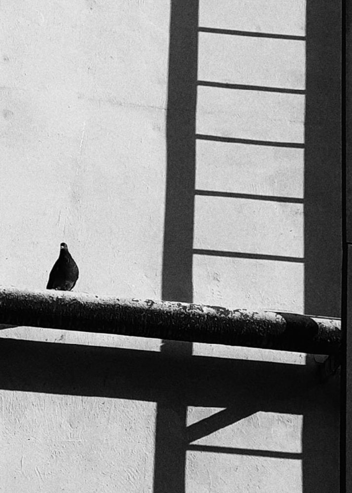 Photograph by Ирина Дьяченко