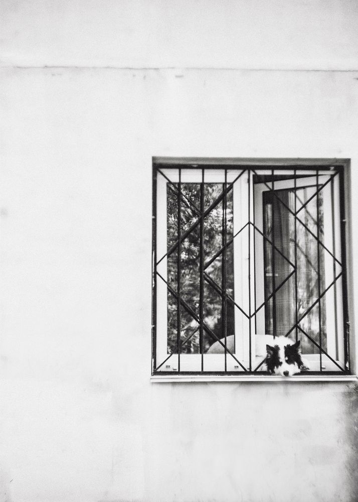 Photograph by Ирина Дьяченко