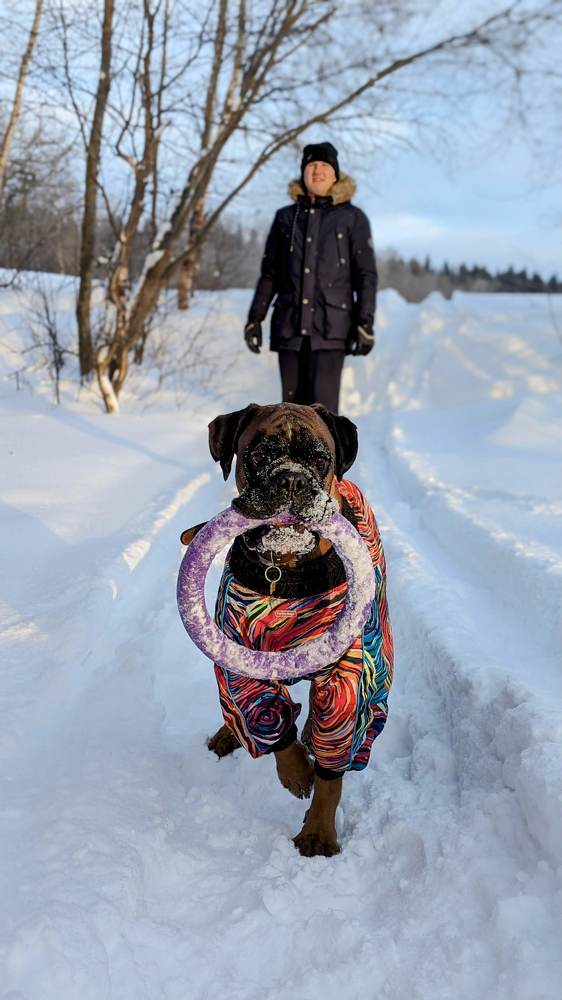 Photograph by Anastasiia