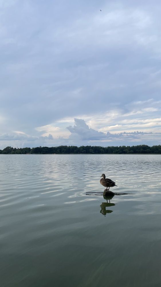 Photograph by Высоцкий Дмитрий