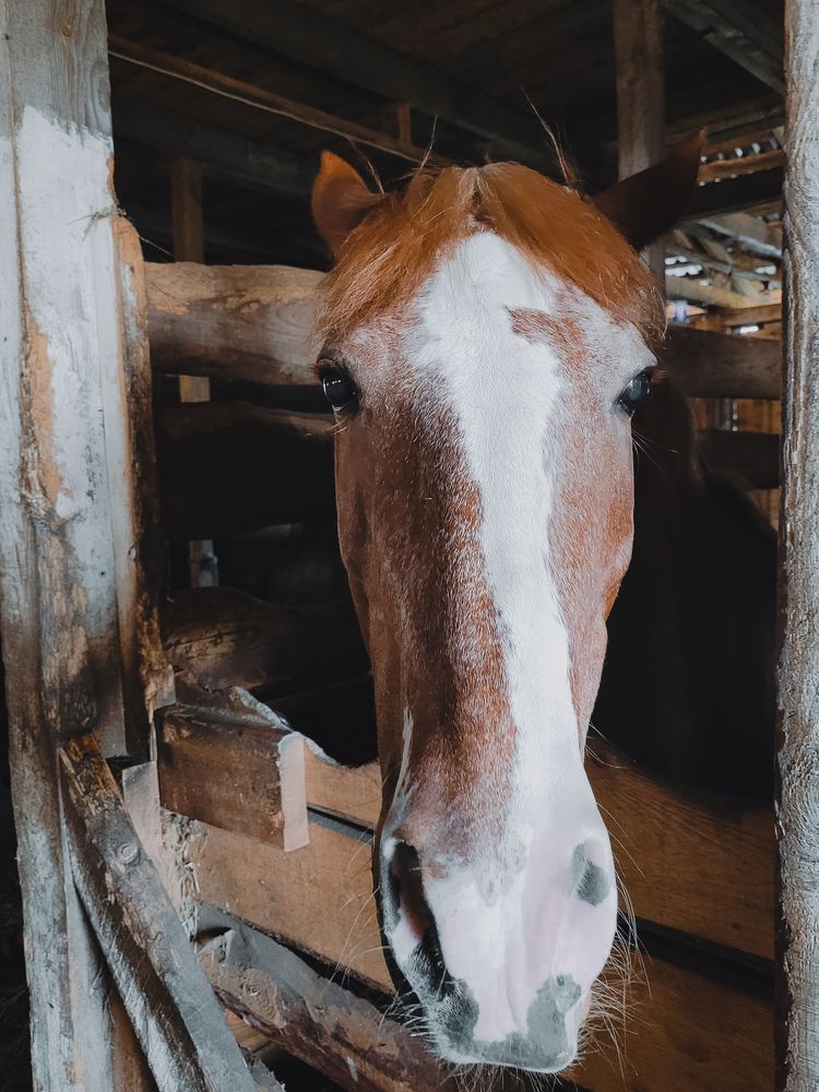 Photograph by Вигдис