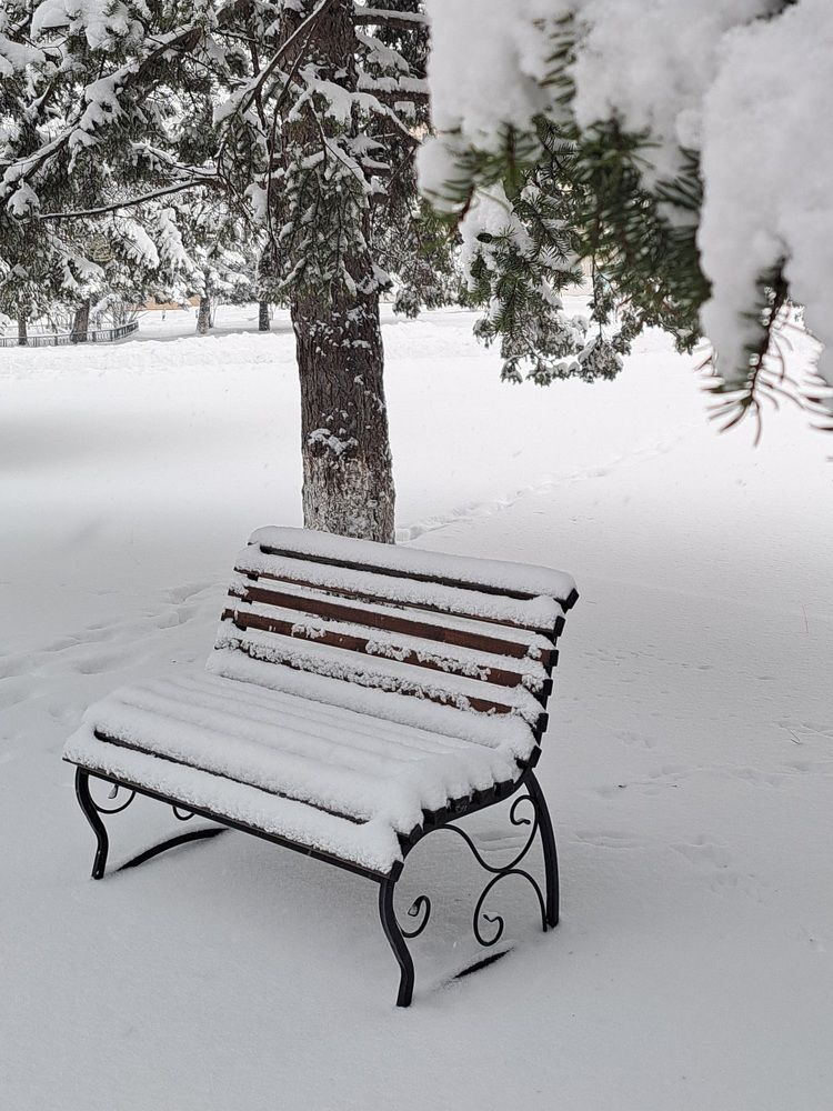 Photograph by Любовь Войтишина