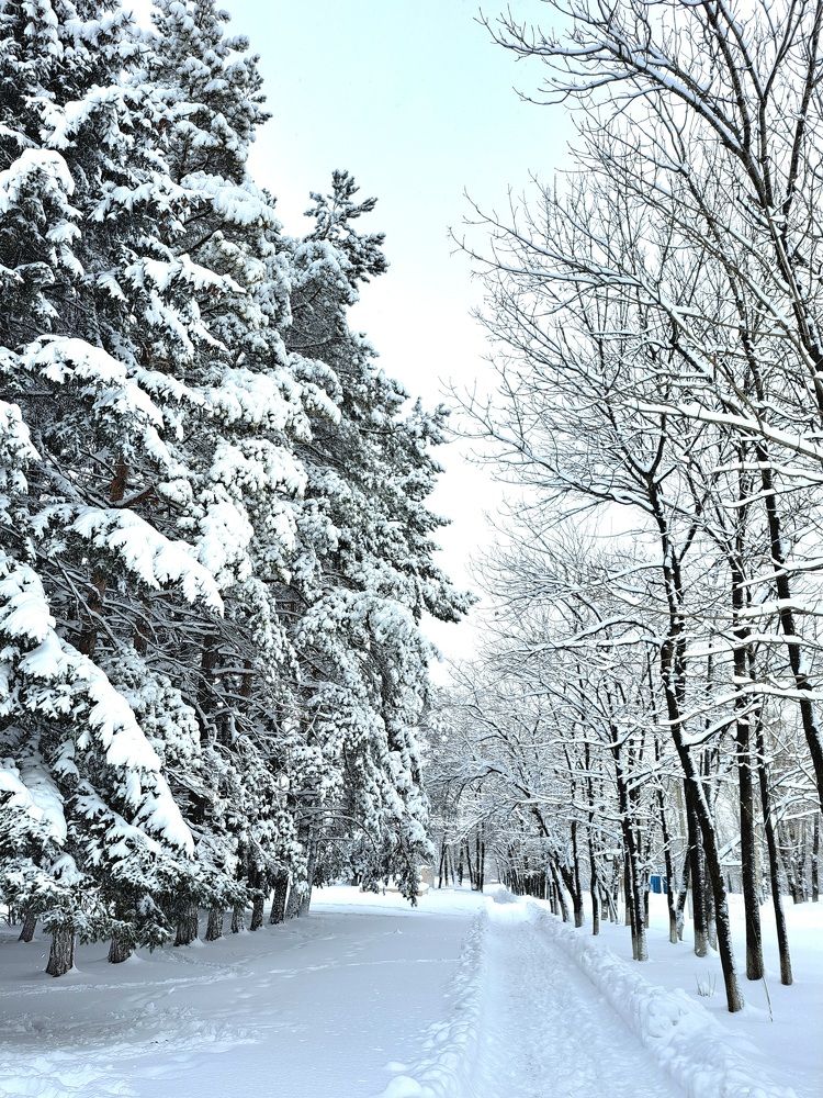 Photograph by Любовь Войтишина