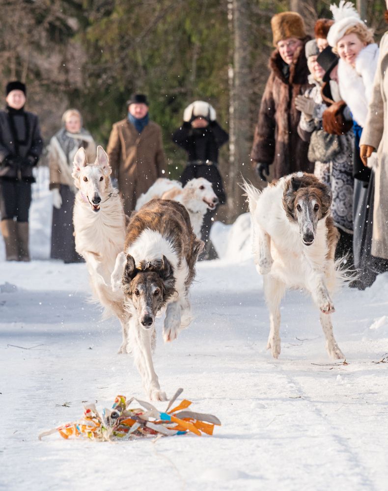 Photograph by Светлана Богданова