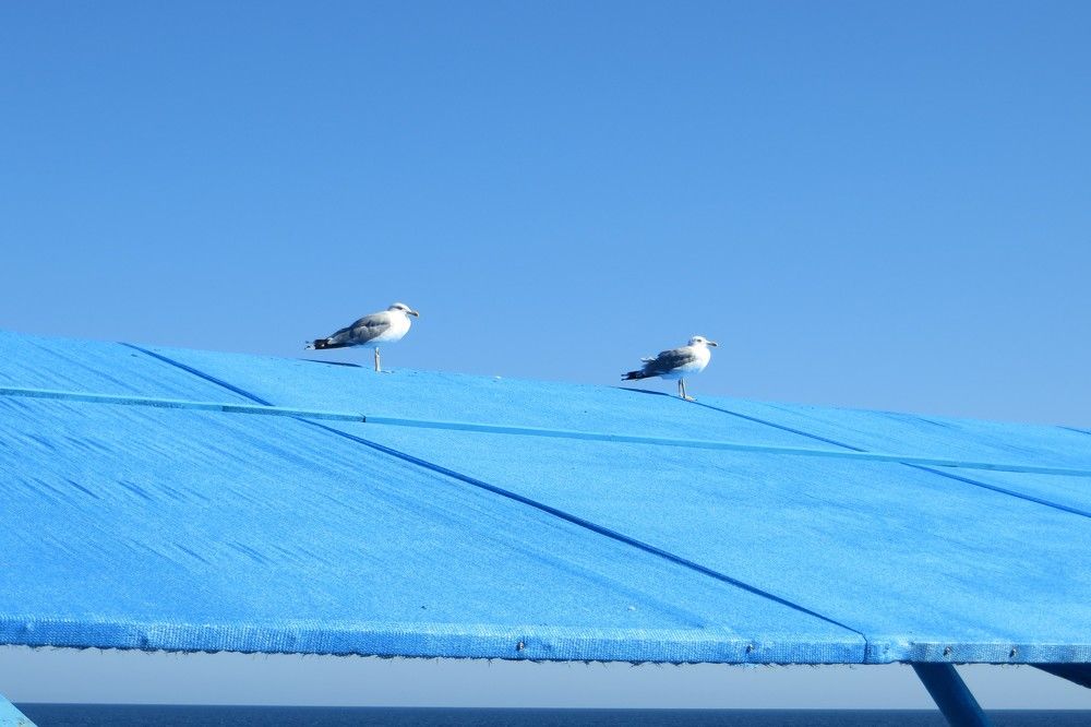 Photograph by Татьяна Поминова