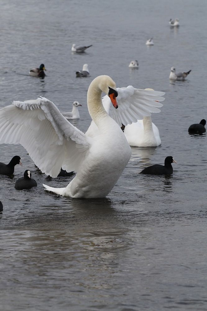 Photograph by Ольга