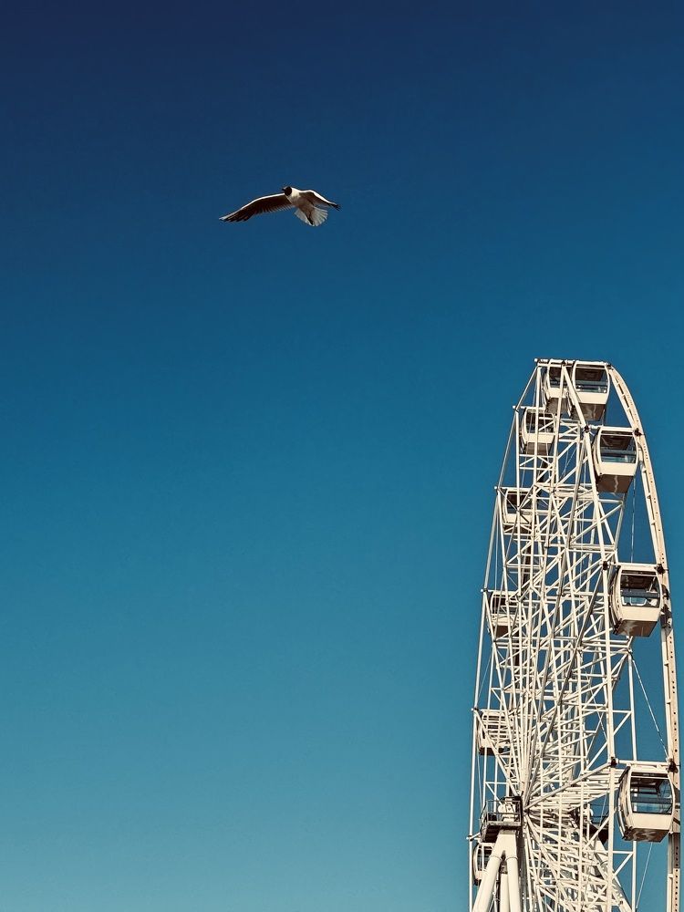 Photograph by Ксения Юртаева