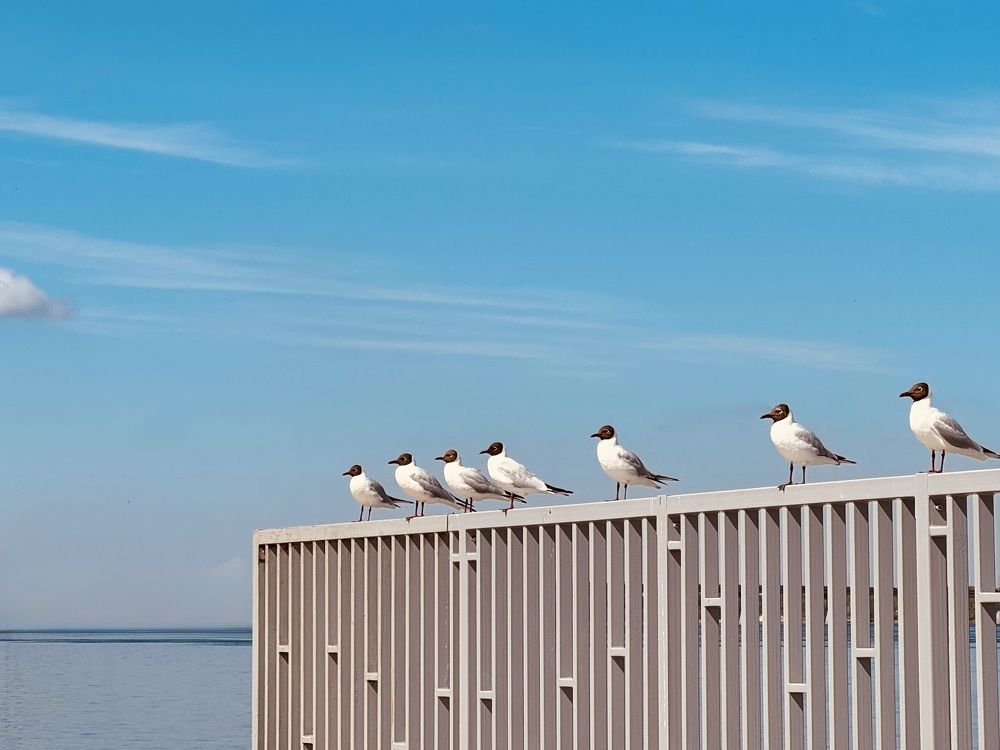 Photograph by Ксения Юртаева